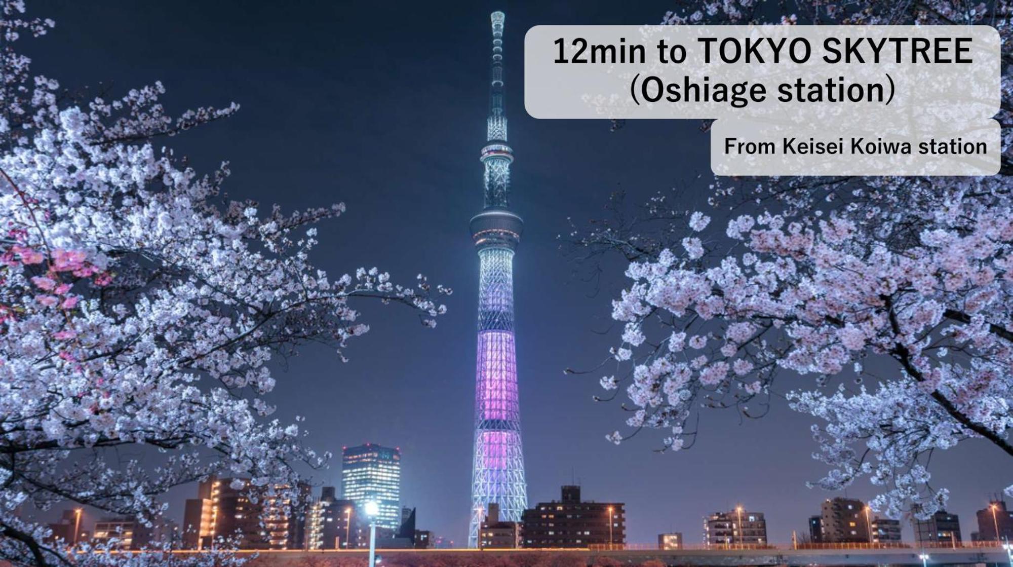 Asahistay -Koiwa, Free Parking O, Whole Family House, Japanese Garden Taste Tokyo Esterno foto